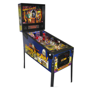 Ripley's Believe It or Not! Pinball Machine by Stern
